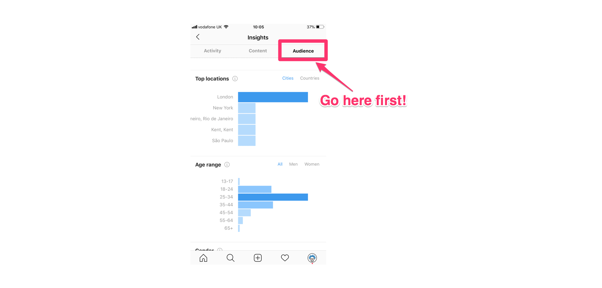 understanding your audience is the first step towards instagram optimization no matter which kpis you picked - instagram followers brazilian twisy